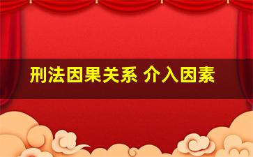 刑法因果关系 介入因素